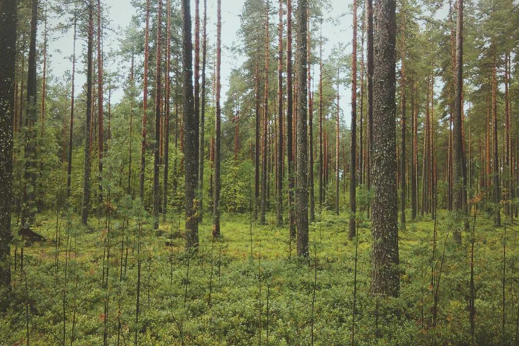 Distinctio consequatur voluptatem